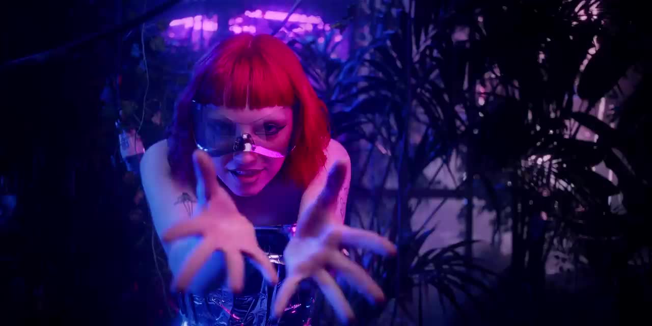 Purple Disco Machine - Paradise