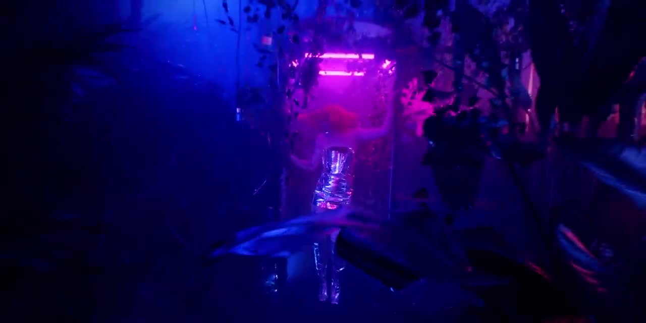 Purple Disco Machine - Paradise