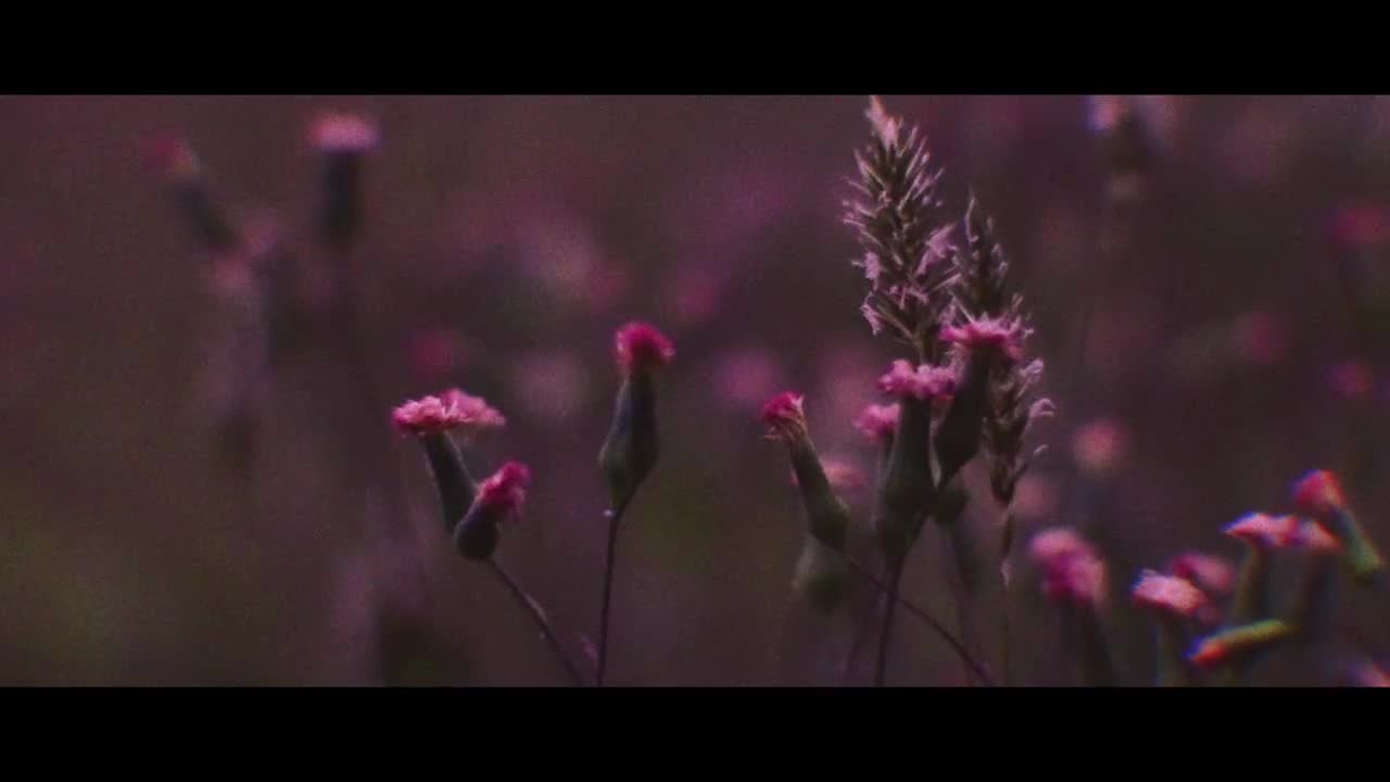 Rauw Alejandro - 2/Catorce