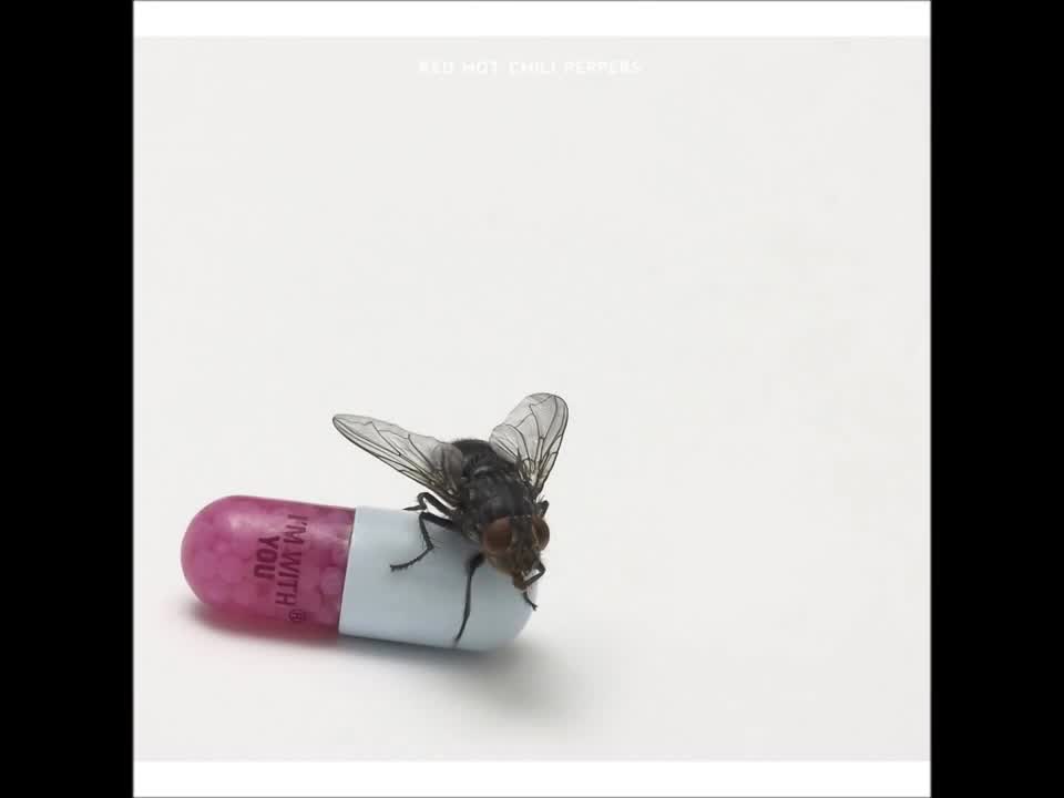 Red Hot Chili Peppers - Happiness Loves Company