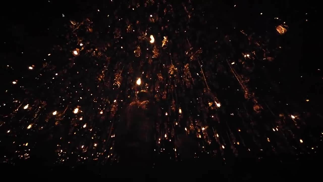 Rick Ross - Gold Roses