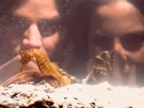 Ricky Martin - Fuego de noche, nieve de día