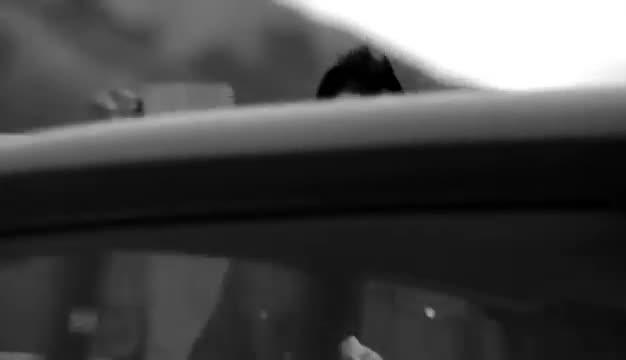 Robbie Williams - Feel