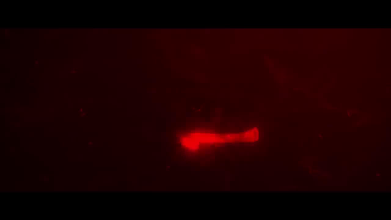 Руки вверх! - Укради меня