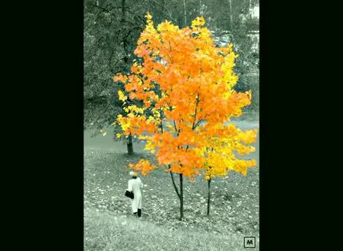 Schiller - I Will Find You