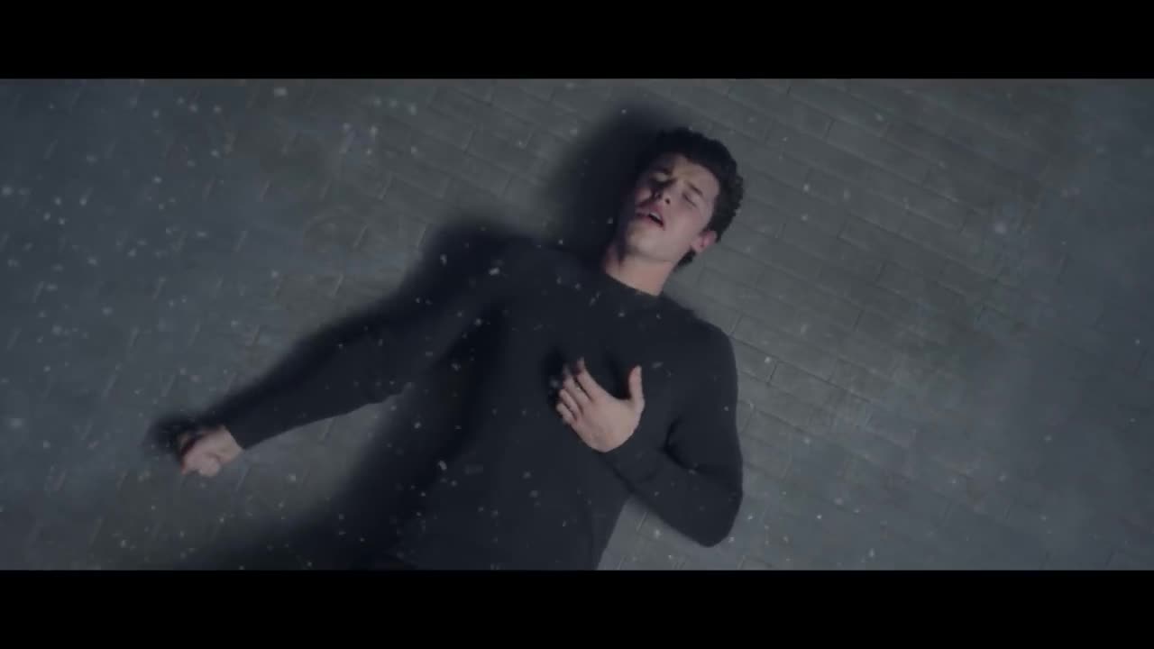 Shawn Mendes - In My Blood