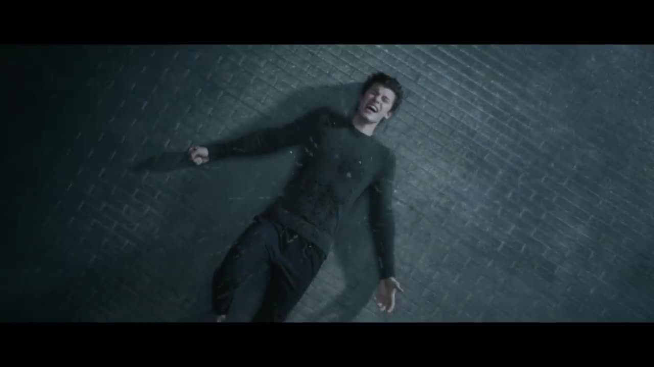 Shawn Mendes - In My Blood