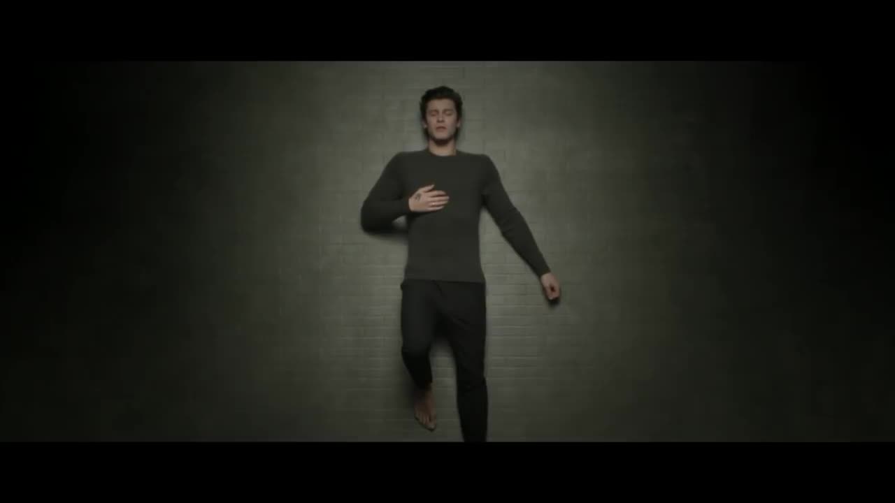 Shawn Mendes - In My Blood