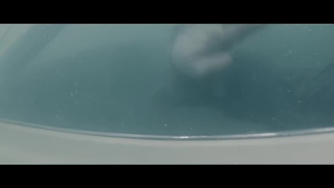 Shawn Mendes - Mercy