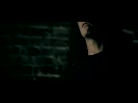 Shinedown - 45