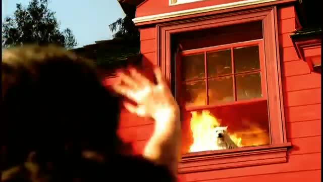 Smash Mouth - All Star