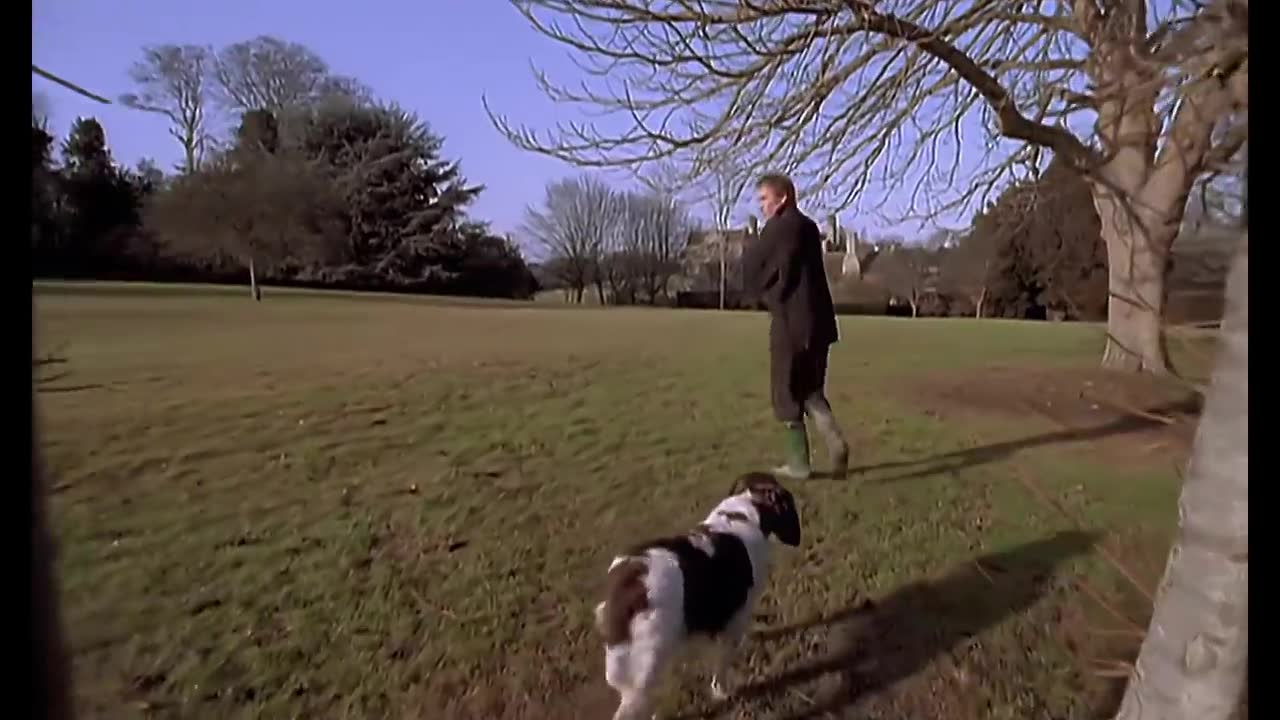 Sting - Shape of My Heart