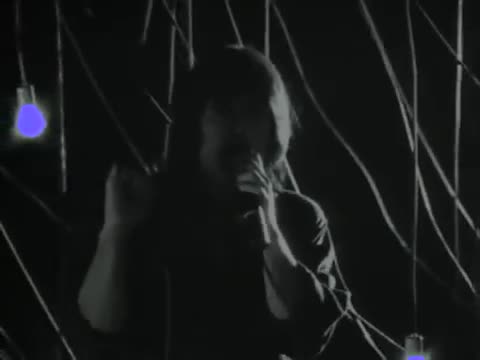 Survivor - High on You