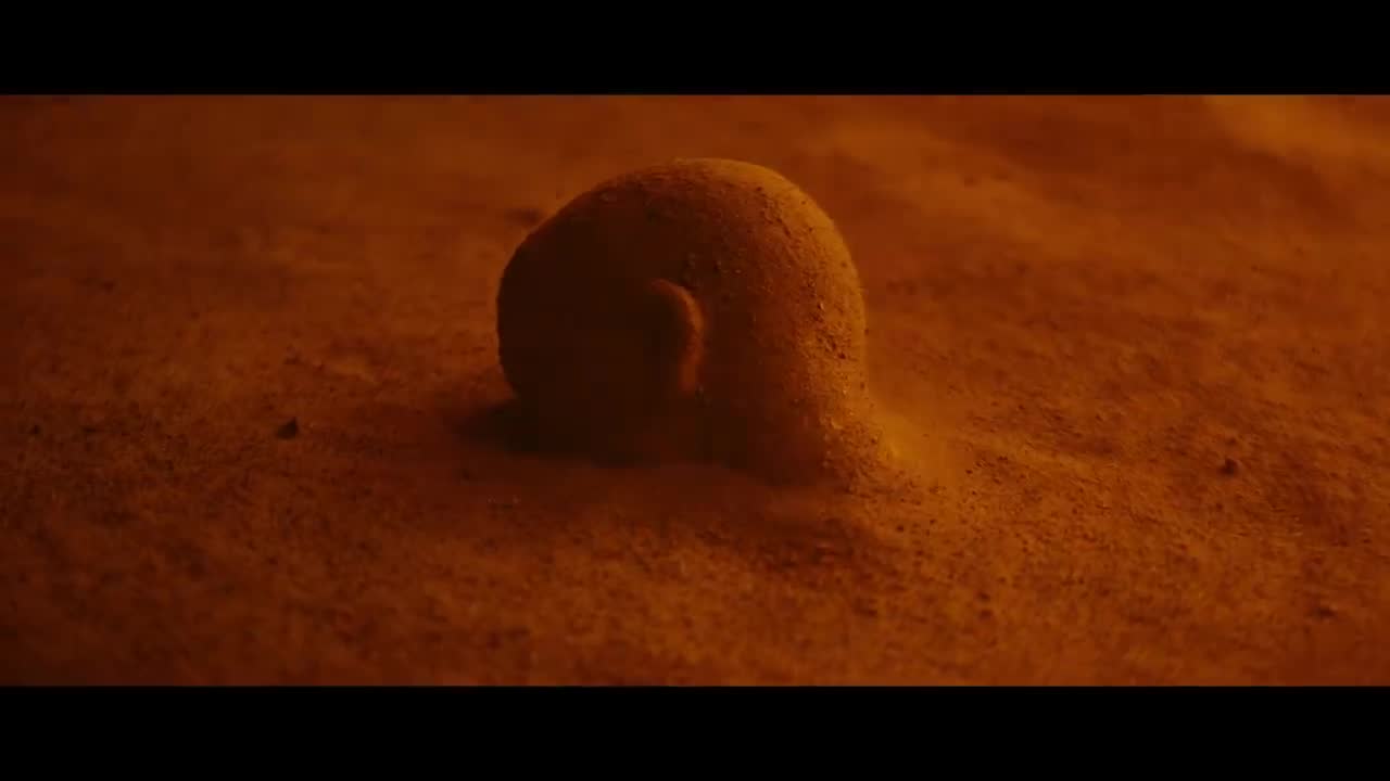 Swedish House Mafia - Lifetime
