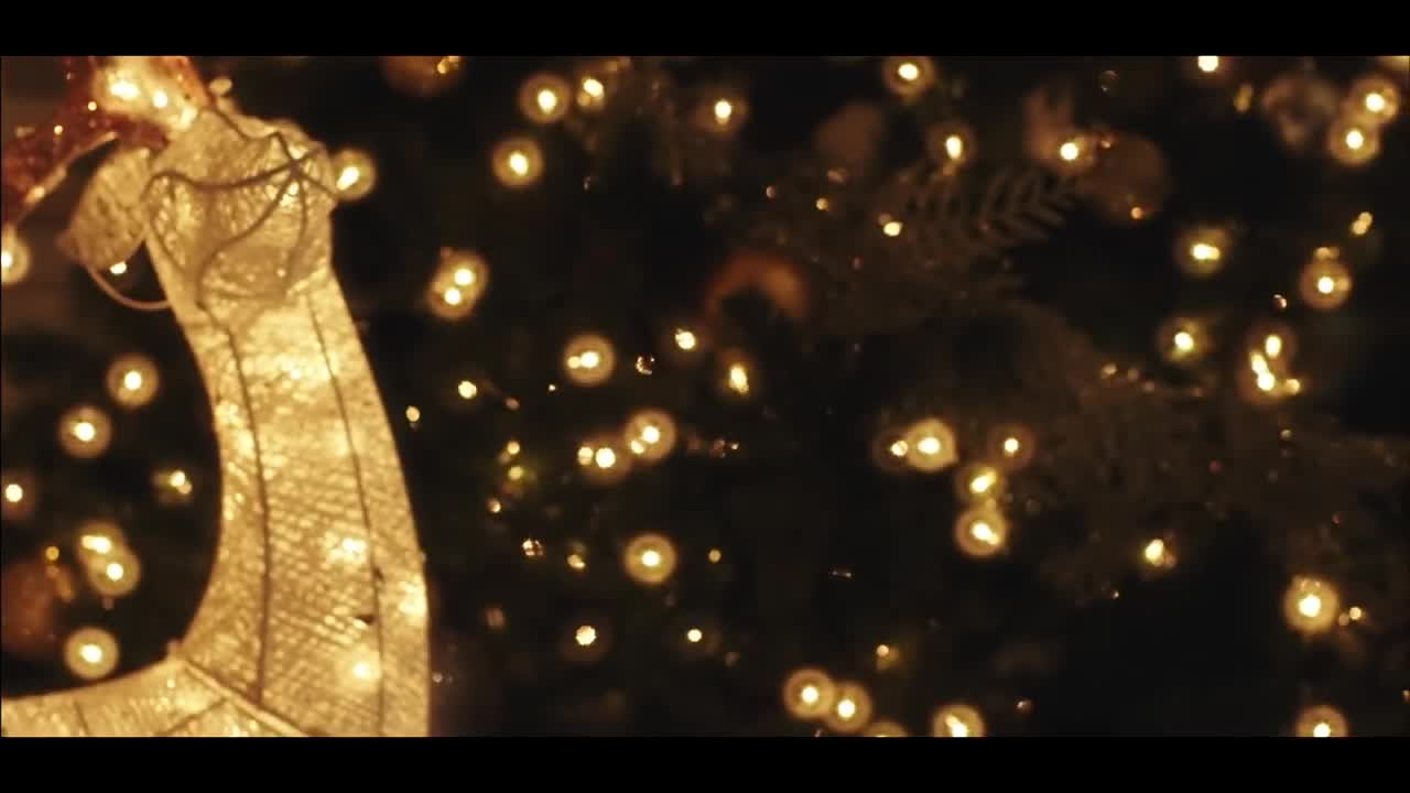 Tamar Braxton - She Can Have You