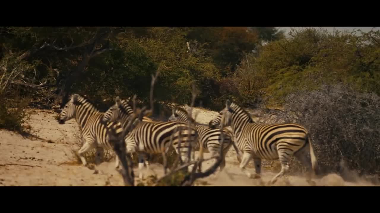 Taylor Swift - Wildest Dreams