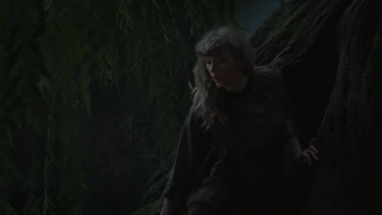 Taylor Swift - willow