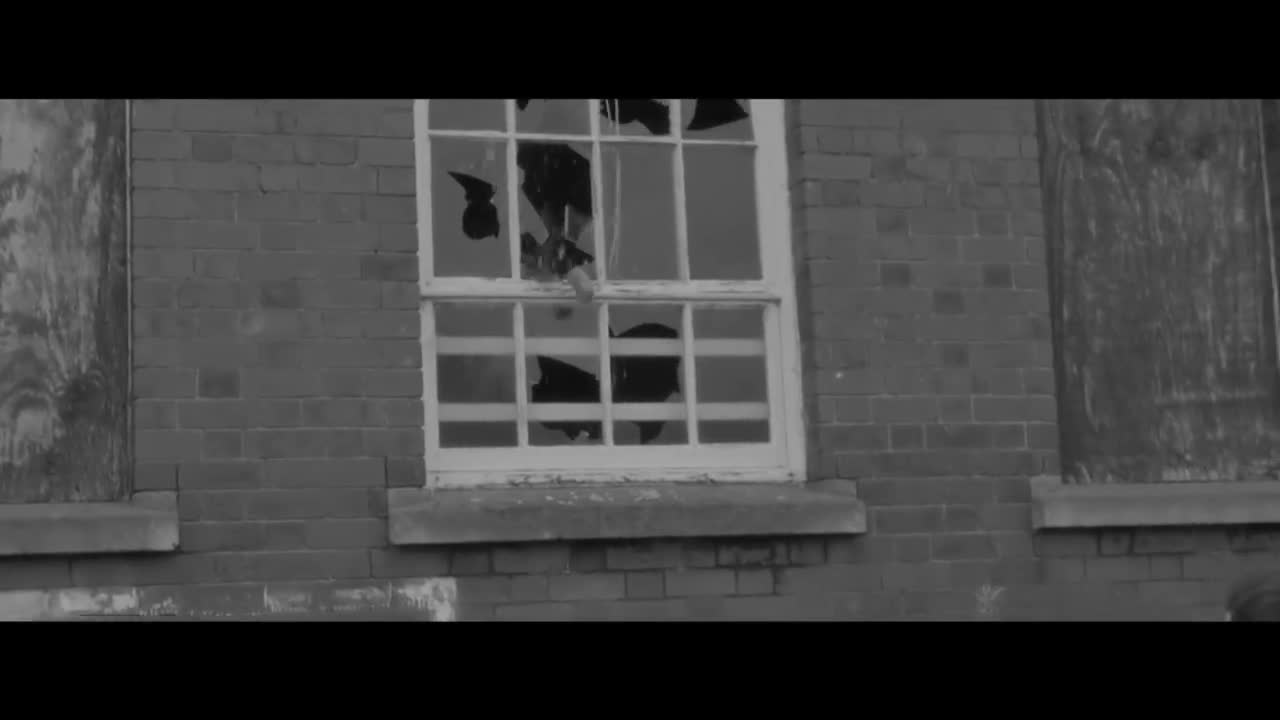 The 1975 - Settle Down