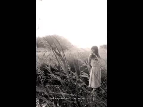 The Cardigans - Higher