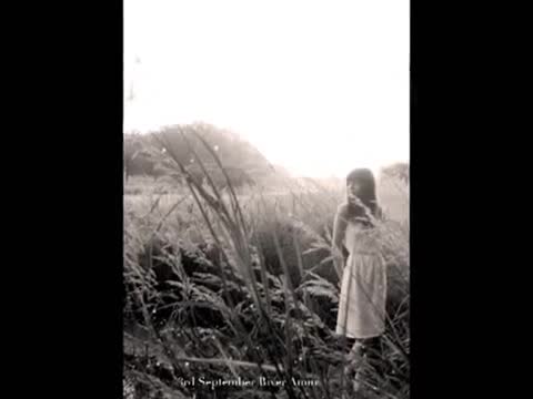 The Cardigans - Higher
