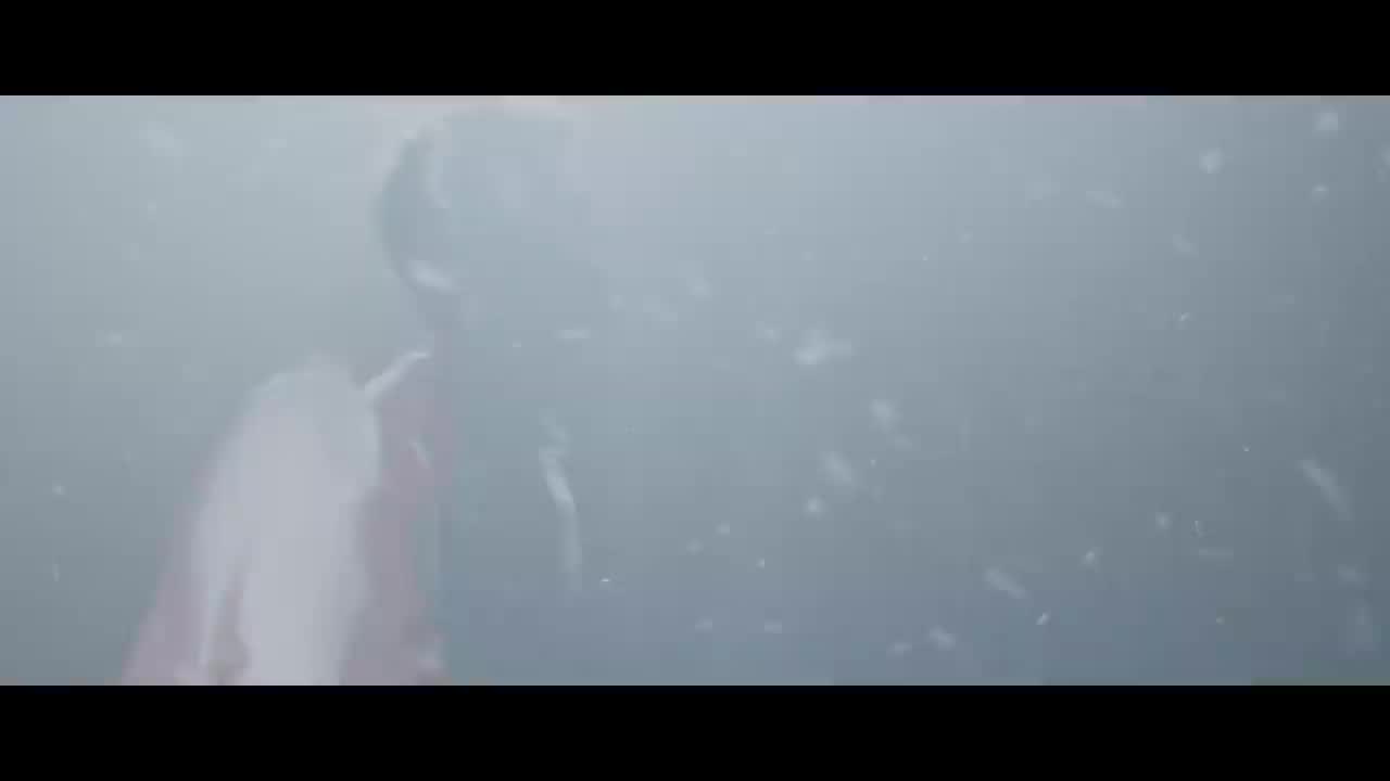 The Chainsmokers - Sick Boy