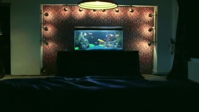 The Chemical Brothers - The Salmon Dance