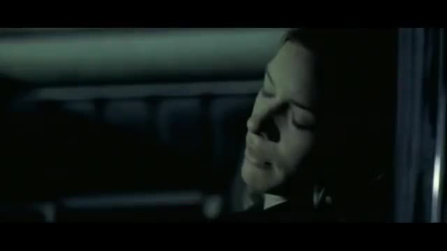 The Cranberries - Animal Instinct