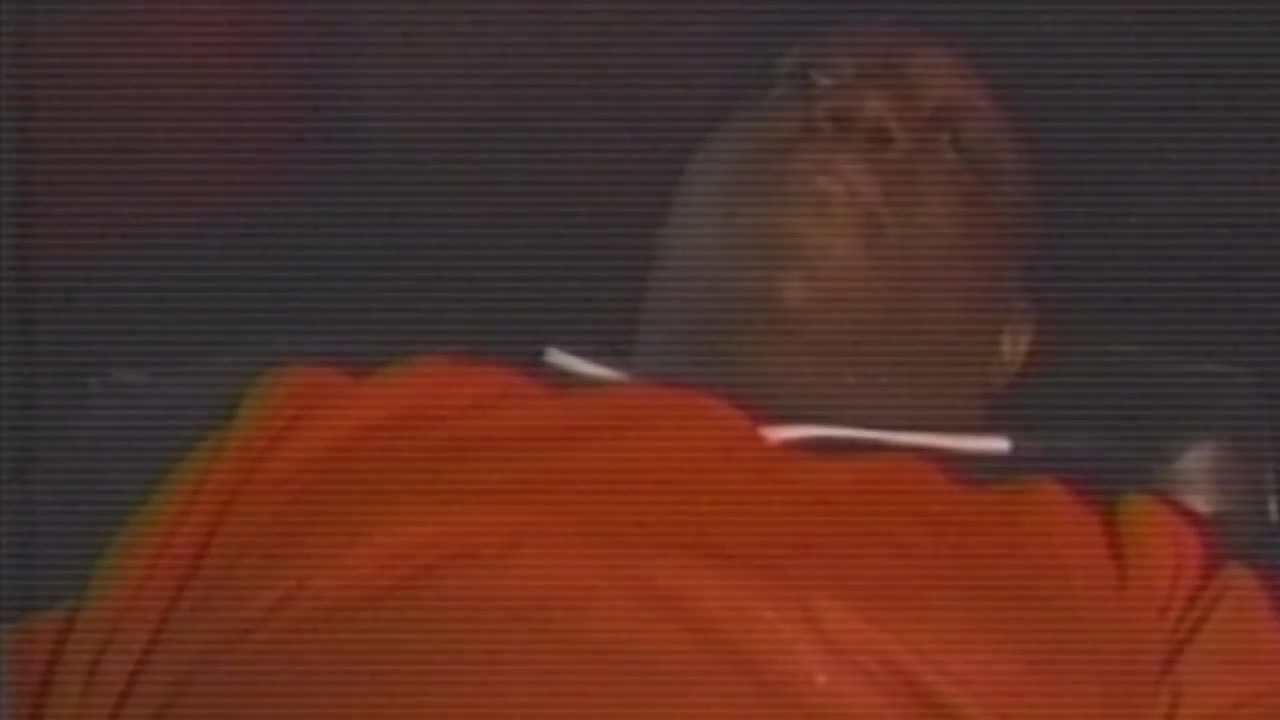 The Notorious B.I.G. - Mo Money, Mo Problems