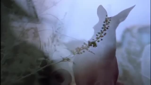 The Pussycat Dolls - I Hate This Part