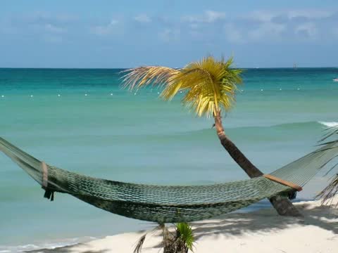 Toni Braxton - Christmas in Jamaica