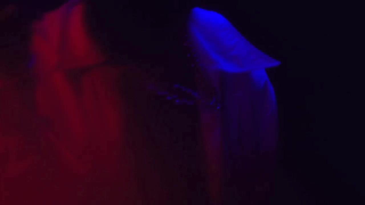 Travis Scott - Quintana Pt. 2