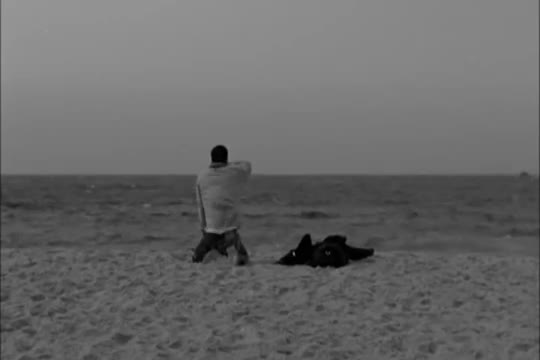 U2 - Cedars of Lebanon