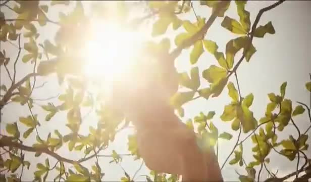 Вера Брежнева - Любовь спасет мир