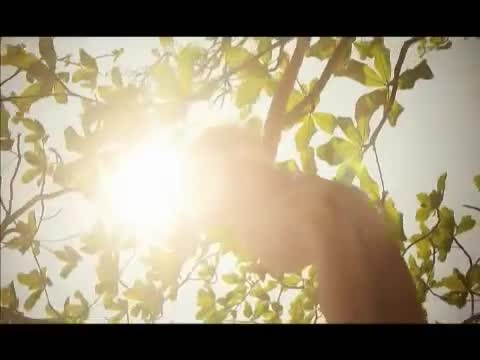 Вера Брежнева - Любовь спасет мир