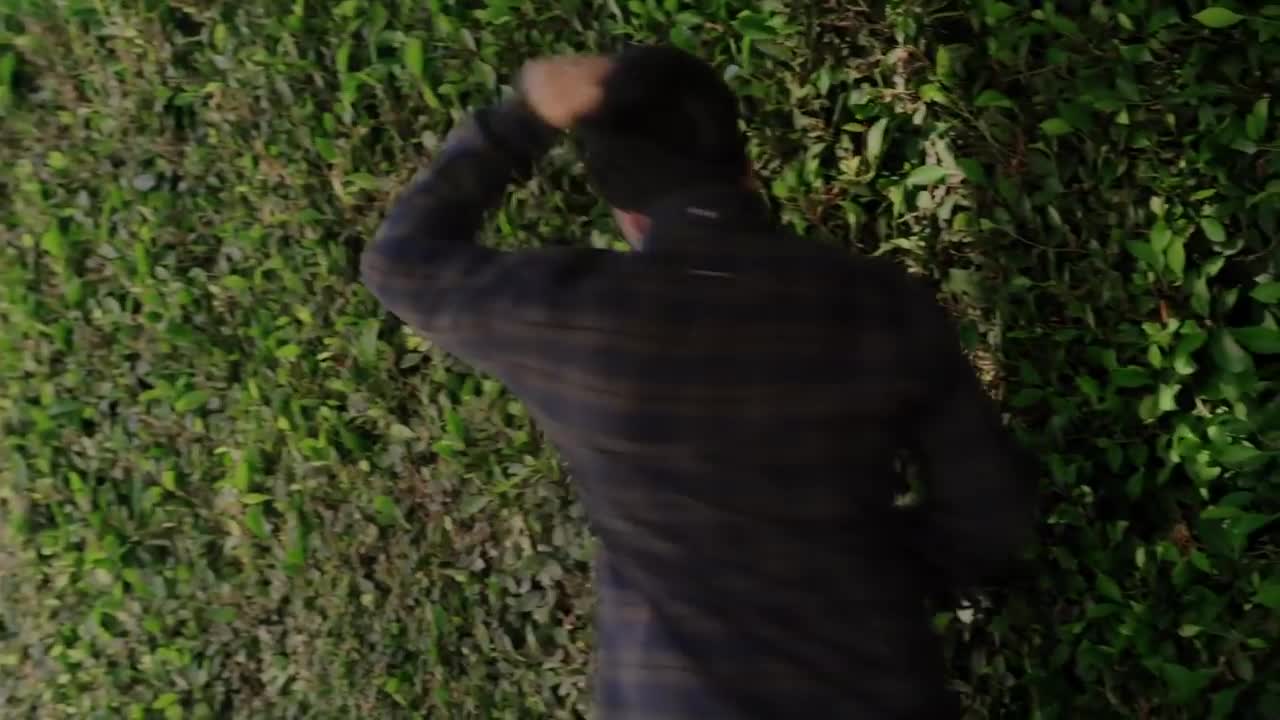 Weezer - Go Away