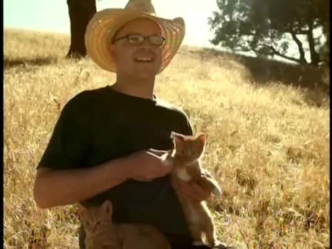 Weezer - Island in the Sun