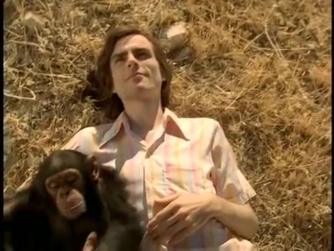 Weezer - Island in the Sun