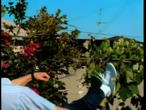 Weezer - Say It Ain't So