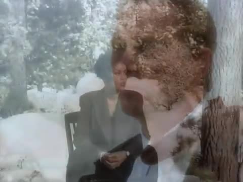 Whitney Houston - I Will Always Love You
