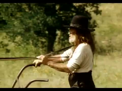 Willie Nelson - Blue Eyes Crying in the Rain
