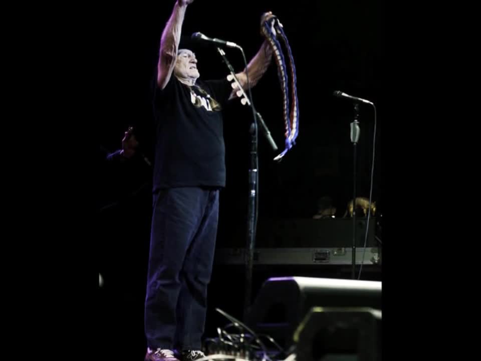Willie Nelson - I'm Not Trying to Forget You Anymore