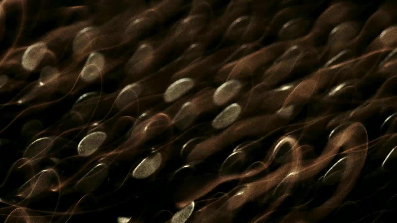 ZAYN - SHE DON’T LOVE ME