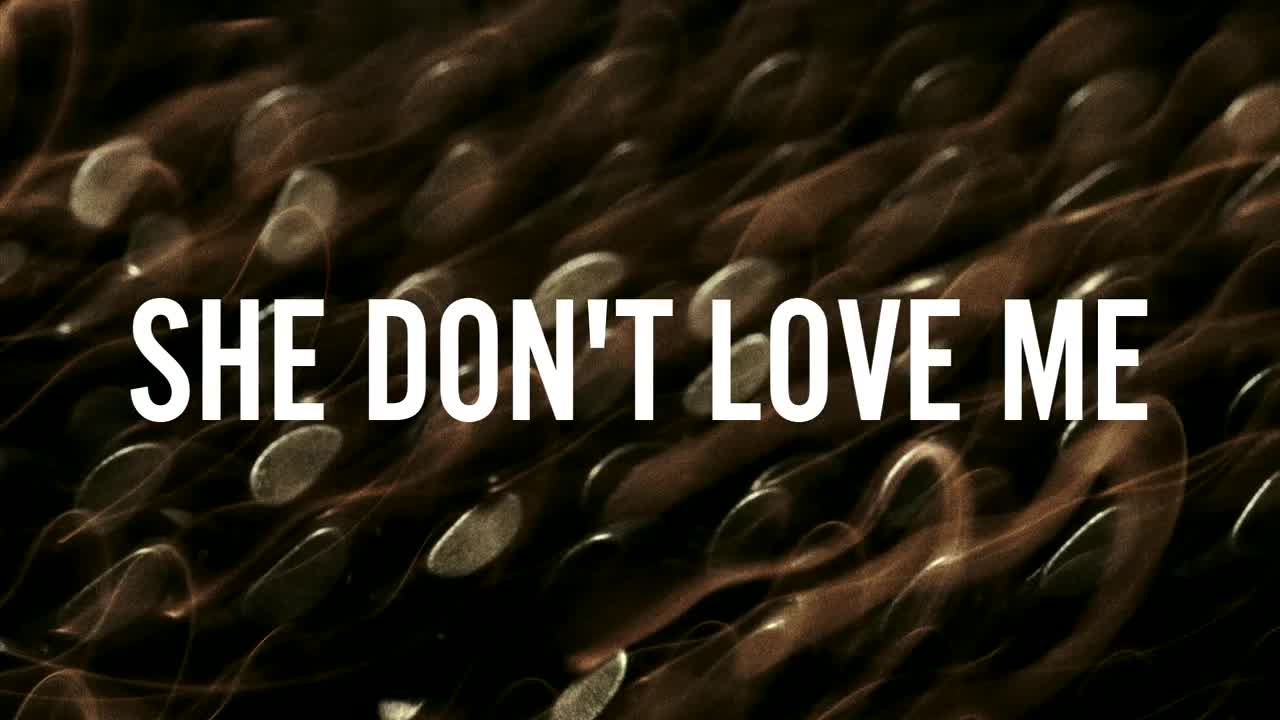 ZAYN - SHE DON’T LOVE ME