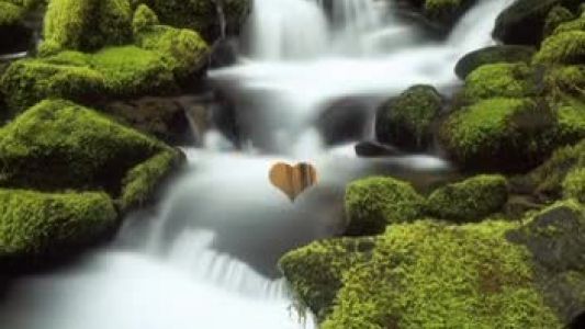 Akcent - I Turn Around the World