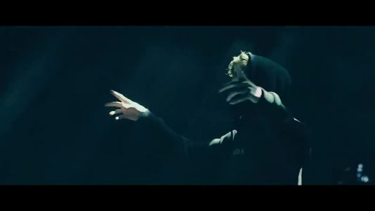 Alan Walker - The Spectre