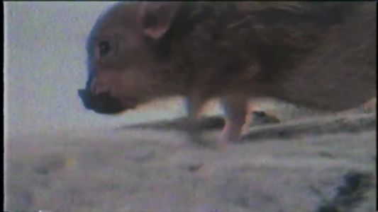 Ariana Grande - Breathin