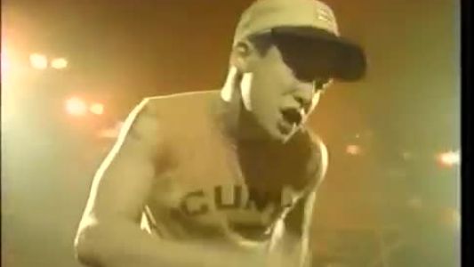 Beastie Boys - Rhymin' and Stealin'