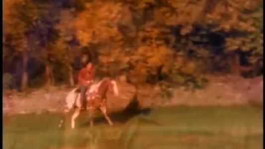Billy Ray Cyrus - She’s Not Cryin’ Anymore