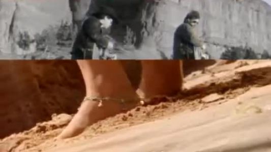 Brooks & Dunn - Brand New Man