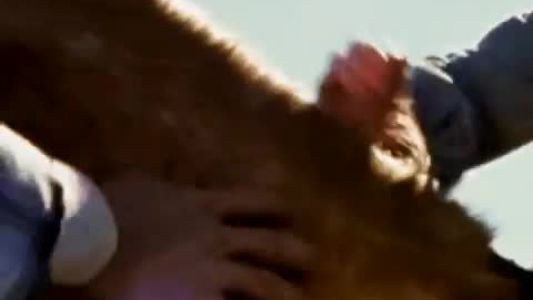 Brooks & Dunn - Cowgirls Don't Cry